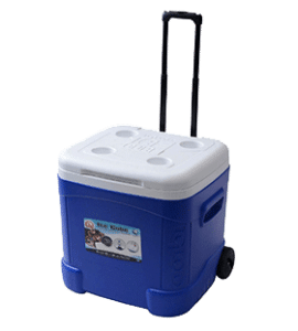 Igloo Ice Cube Roller Cooler